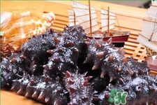 腎虛能吃海參嗎？吃海參對(duì)腎好嗎？