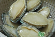 鮑魚死后可以放幾天？鮑魚死后多久不能吃？