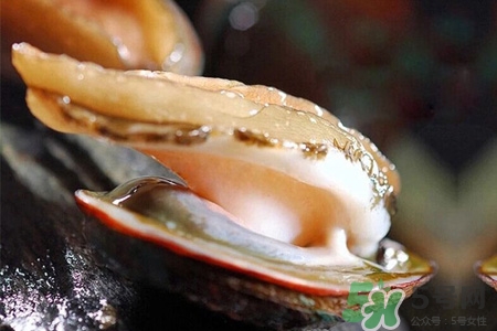 新鮮鮑魚可以放多久？活鮑魚怎樣存放時間更長？