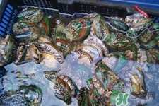 男人吃鮑魚能補(bǔ)腎嗎？腎虛能吃鮑魚嗎？