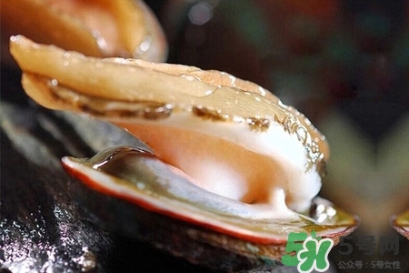 鮑魚一次最多吃幾個？鮑魚吃多了有什么不好的？