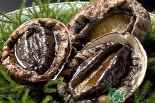 吃鮑魚要注意些什么？吃鮑魚會(huì)過敏嗎？