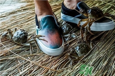 vans與acu合作款鞋子多少錢？vans與acu合作款鞋子價(jià)格