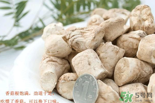 香菇根能吃嗎？香菇的根可以吃嗎？