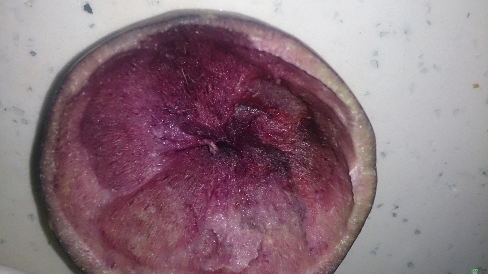 牛奶果怎么吃？牛奶果的功效與作用