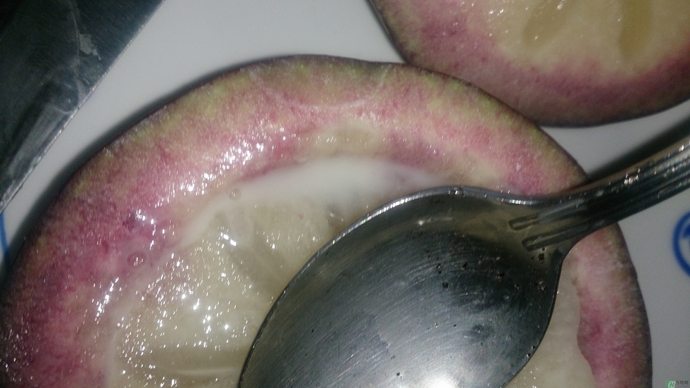 牛奶果怎么吃？牛奶果的功效與作用