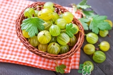 燈籠果一天吃幾個(gè)最好？燈籠果什么時(shí)候吃最好？