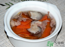 雞肉能和胡蘿卜一起吃嗎？雞肉和蘿卜可以一起吃嗎？