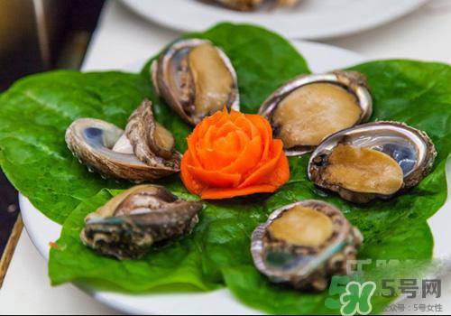 鮑魚是熱性還是涼性？鮑魚是寒性食物嗎？