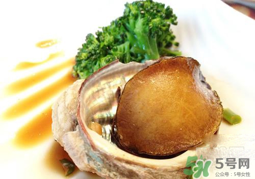鮑魚是熱性還是涼性？鮑魚是寒性食物嗎？