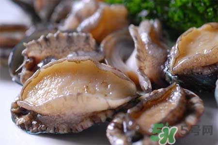 寶寶能吃鮑魚嗎？寶寶多大可以吃鮑魚？