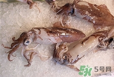 墨魚的營(yíng)養(yǎng)價(jià)值 墨魚的功效與作用