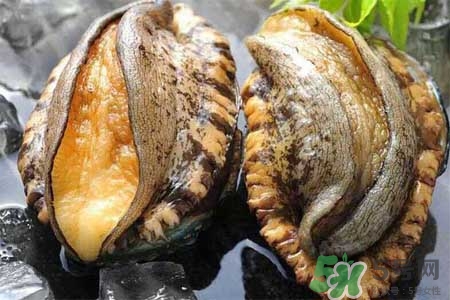 鮑魚(yú)什么部位不能吃？吃鮑魚(yú)的禁忌
