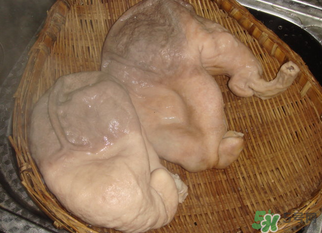 豬大腸怎么清洗？豬大腸怎么去臭味？