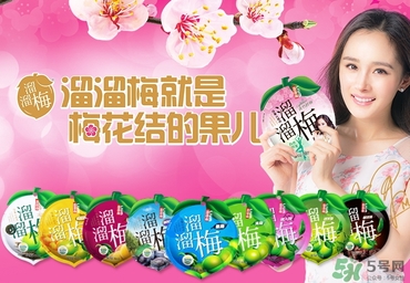 溜溜梅是梅花結(jié)的果嗎？溜溜梅的功效作用