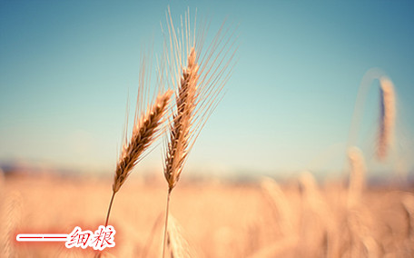 麥片什么牌子好？進(jìn)口麥片哪個(gè)牌子好吃