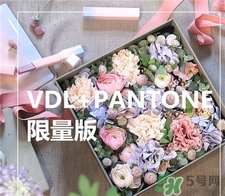 vdl限量版眼部妝前乳多少錢(qián)?vdl限量版眼部打底專(zhuān)柜價(jià)格