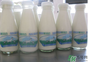 鮮羊奶可以直接喝嗎？鮮羊奶怎么喝最好？