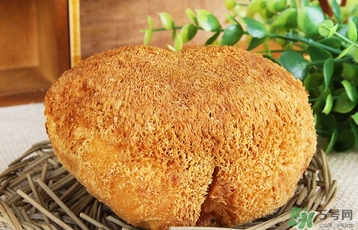 猴頭菇怎么吃？猴頭菇的功效與作用