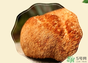 猴頭菇怎么吃？猴頭菇的功效與作用
