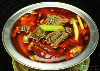 狗肉不能和什么一起吃？狗肉和什么相克？