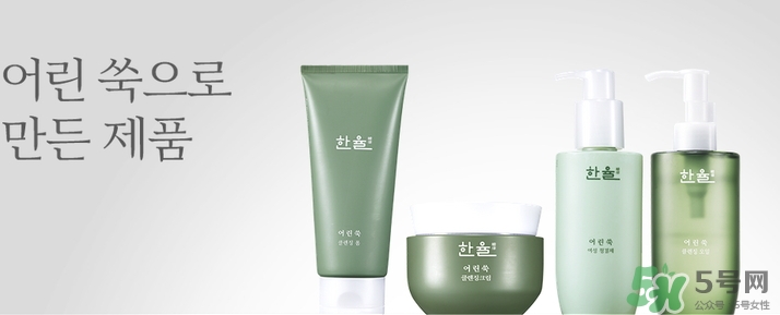 韓律艾草洗面奶多少錢？韓律艾草洗面奶專柜價(jià)格