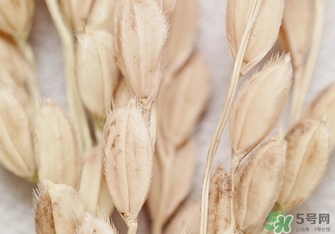 韓律適合什么膚質(zhì)？韓律適合敏感肌膚嗎？