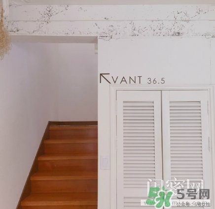 vant氣墊粉底霜怎么樣？vant36.5粉霜粉膏好用嗎？