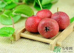 新鮮山楂什么時候上市？新鮮山楂什么時候成熟？