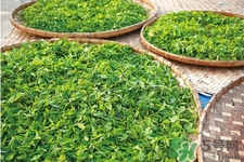 冬天可以喝綠茶嗎？冬天喝綠茶好還是紅茶好？