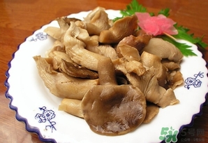 鮑魚菇怎么做好吃？鮑魚菇的功效與作用