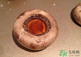口菇變黑還能吃嗎？口菇的營養(yǎng)價值
