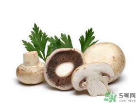 草菇怎么保存？新鮮草菇怎么保存？