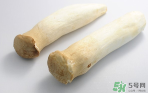 雞腿菇長白毛能吃嗎？雞腿菇怎么做好吃？