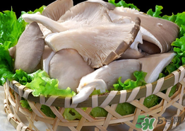 蘑菇可以放冰箱嗎？蘑菇放冰箱長毛了能吃嘛？