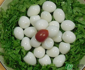 鵪鶉蛋一天吃幾個合適？鵪鶉蛋一天最多吃幾個？