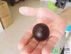 羊?qū)毷鞘裁?？羊?qū)殲槭裁催@么貴？