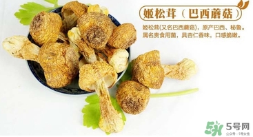 巴西蘑菇怎么吃？巴西蘑菇的作用與功效