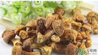 巴西蘑菇怎么吃？巴西蘑菇的作用與功效