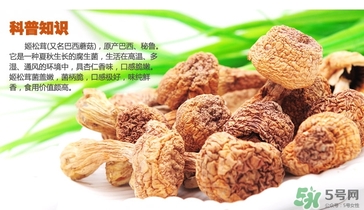 巴西蘑菇怎么吃？巴西蘑菇的作用與功效