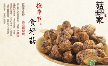 巴西蘑菇怎么吃？巴西蘑菇的作用與功效