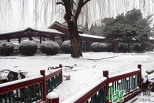 下雪穿什么鞋防滑效果最好？下雪天穿什么鞋子最防滑？