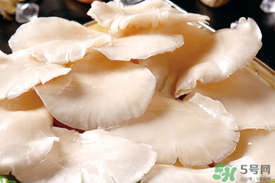平菇怎么洗？平菇怎么洗才干凈？