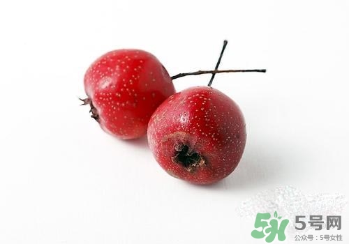 孕婦可以吃山楂嗎？孕婦吃山楂好嗎？