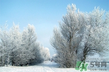 下雪天要打傘嗎？下雪天到底要不要打傘？