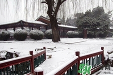 下雪高鐵會停運嗎？下雪天會影響高鐵嗎？