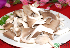 孕婦可以吃平菇嗎？孕婦吃平菇有什么好處？