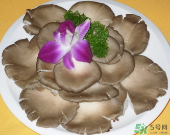 平菇是發(fā)物嗎？平菇是不是發(fā)物？