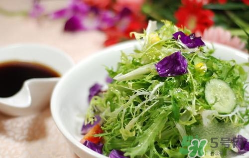 苦菊可以減肥嗎？苦菊怎么吃可以減肥？