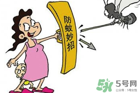 冬天為什么會有蚊子？冬天家里有蚊子怎么辦？